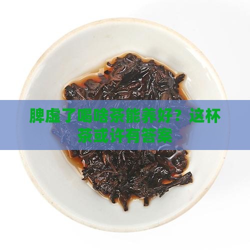喝什么茶可以调理脾虚