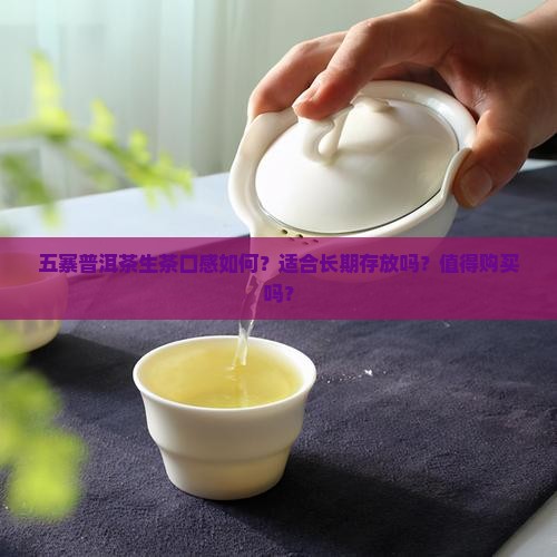 五寨普洱茶生茶怎么样啊