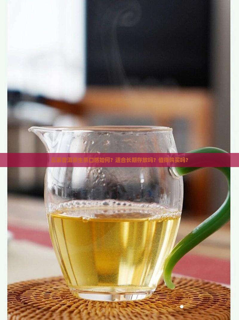 五寨普洱茶生茶怎么样啊