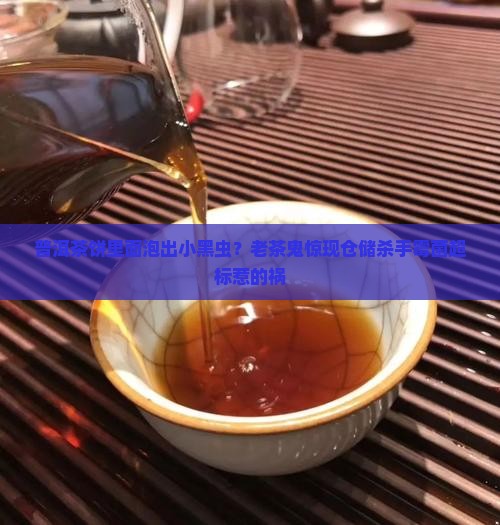 普洱茶饼里面泡出小黑虫