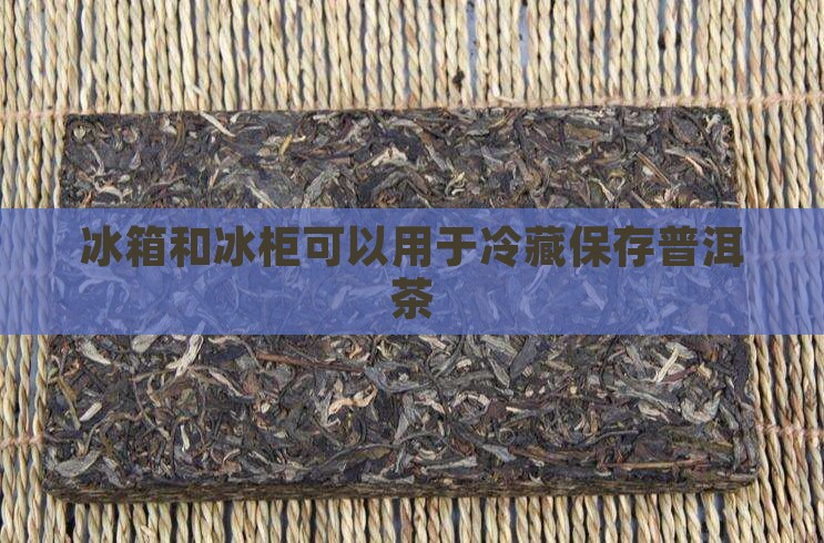 普洱茶适合放冷藏柜