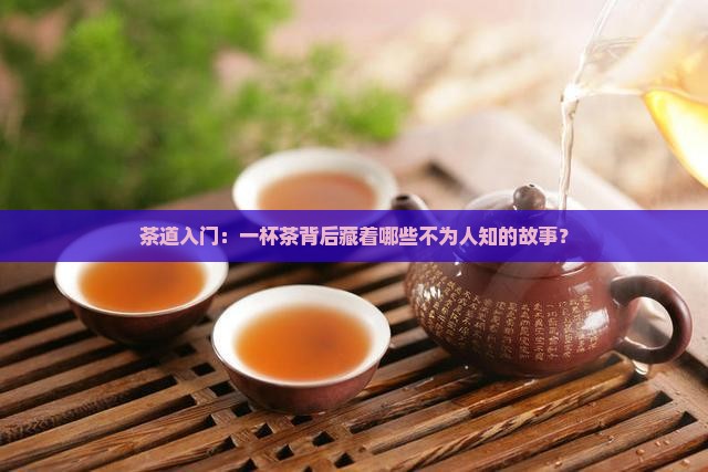 茶道入门茶道基本知识