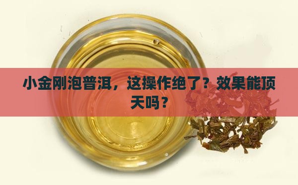 小金刚菩提用普洱茶泡
