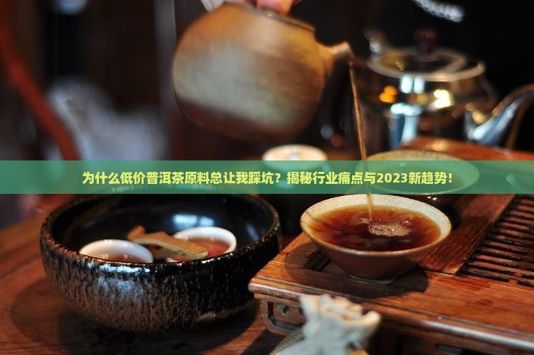 低价普洱茶原料