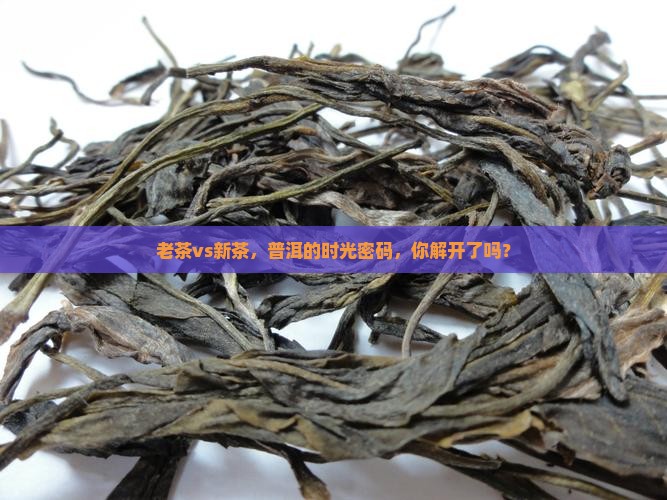 普洱茶老茶和新茶哪个好