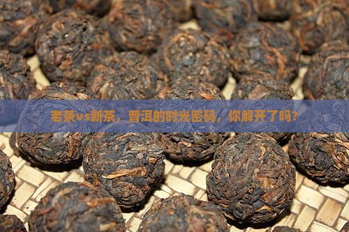 普洱茶老茶和新茶哪个好
