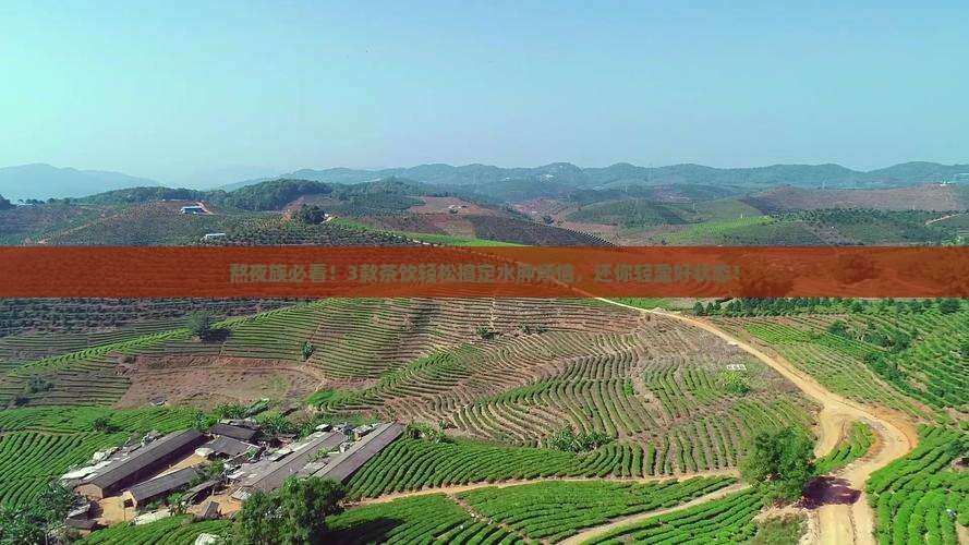 什么茶去水肿利尿