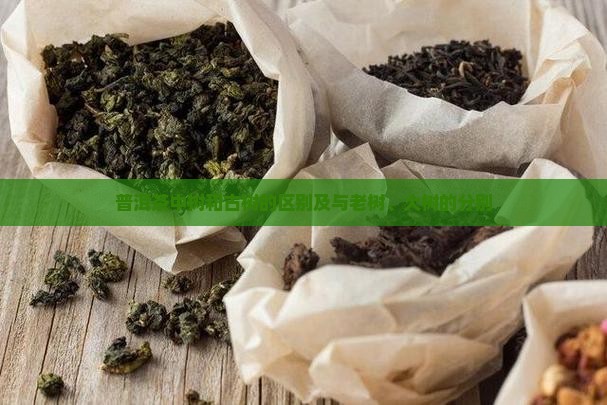 普洱茶中树和古树的区别