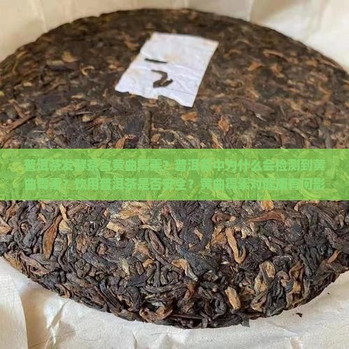 普洱茶发酵茶含黄曲霉素