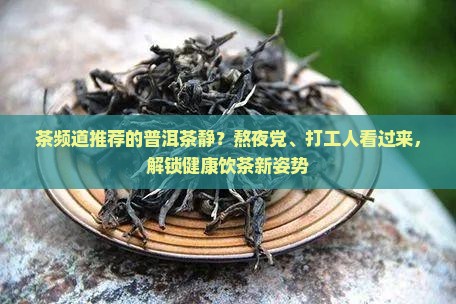 茶频道推荐的普洱茶静