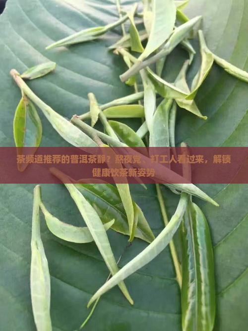 茶频道推荐的普洱茶静