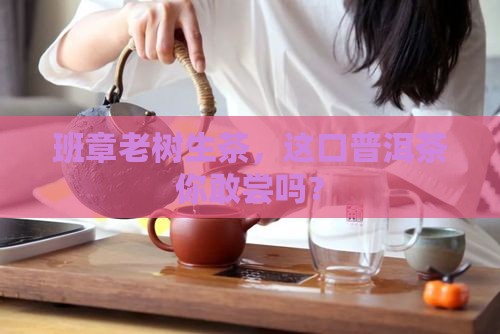 班章老树生茶普洱茶