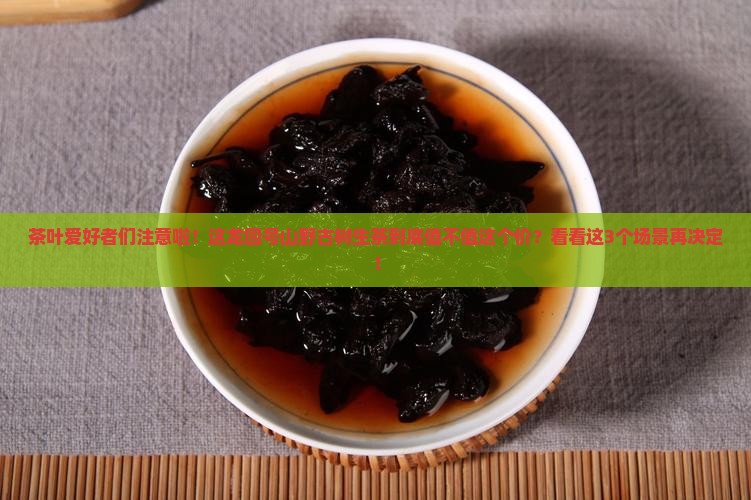 龙园号山野古树生茶价格