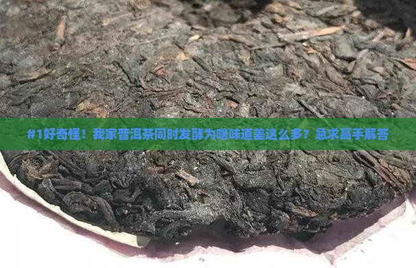 普洱茶同时发酵味道不一样