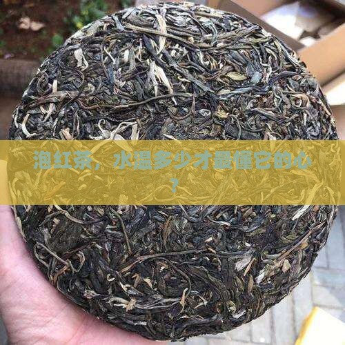 红茶泡多少度的水泡