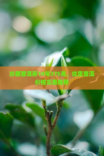 珍藏普洱茶10年375克