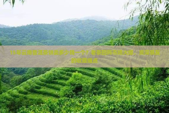 15年云南普洱茶饼卖多少钱一个