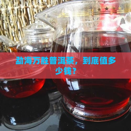 勐海万胜普洱茶价格多少