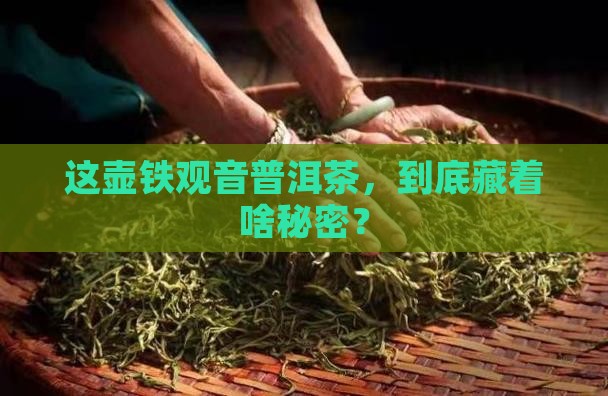 一壶铁观音普洱茶