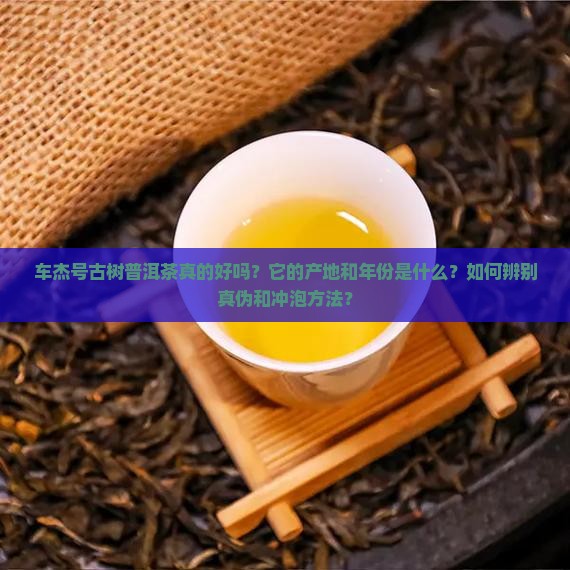 车杰号古树普洱茶
