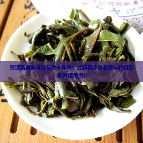 普洱茶可以存放十年