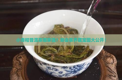 新会小青柑普洱茶排名