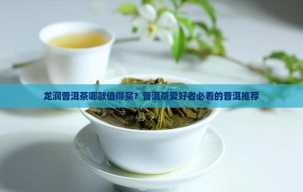 龙润普洱茶哪款值得
