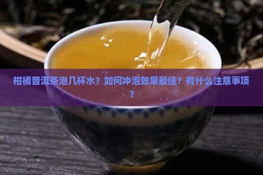 柑橘普洱茶泡几杯水