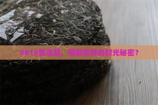 0818普洱茶代表什么