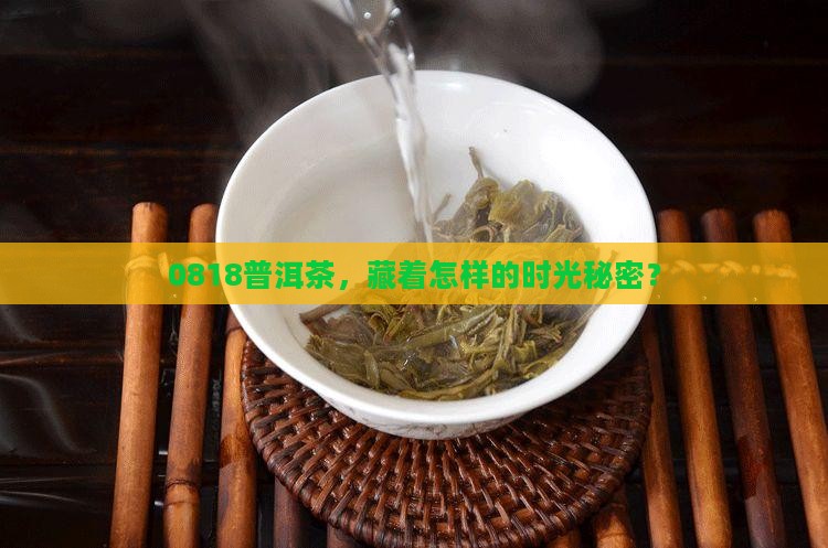 0818普洱茶代表什么
