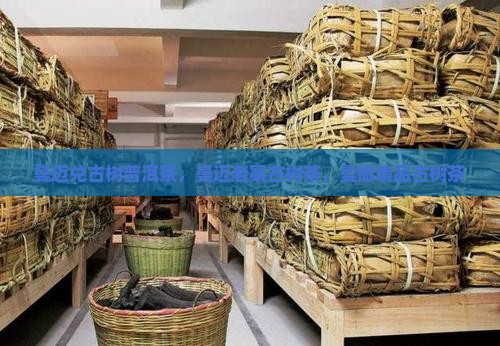 曼迈兑古树普洱茶