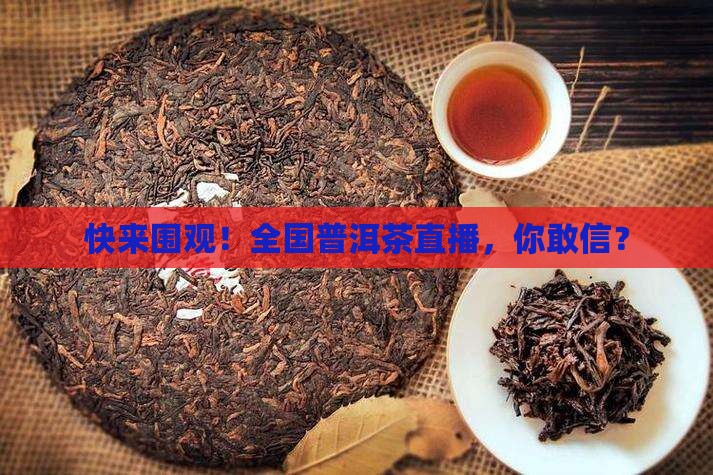 全国普洱茶直播