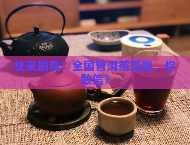 全国普洱茶直播