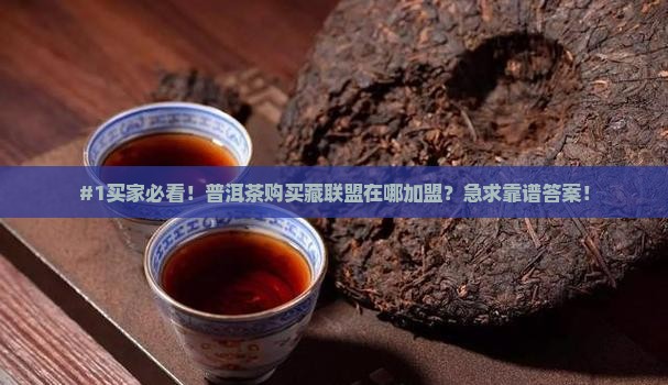 普洱茶购买藏联盟在哪里加盟