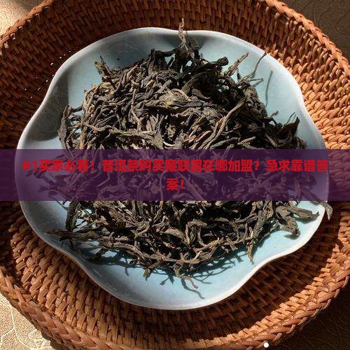 普洱茶购买藏联盟在哪里加盟