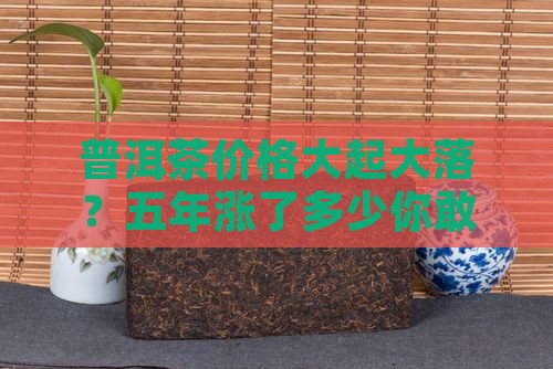 五子登科普洱茶历年价格