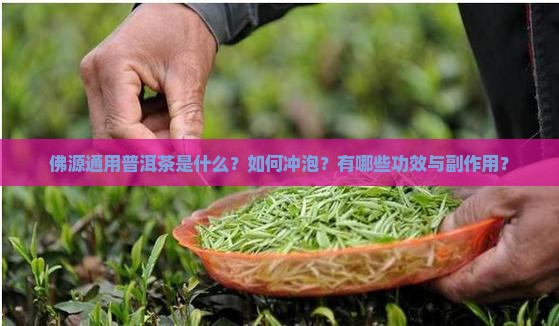 佛源通用普洱茶 佛源通用普洱茶