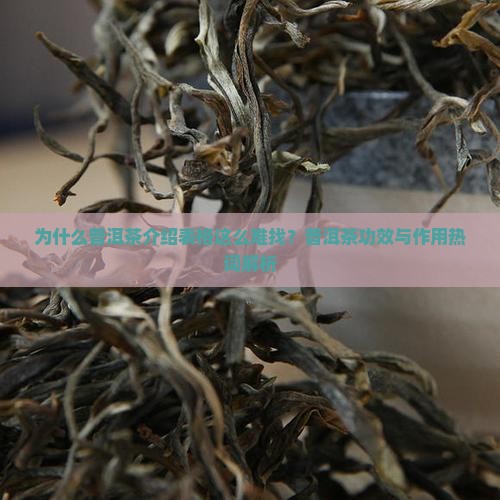 普洱茶介绍表格 普洱茶介绍表格