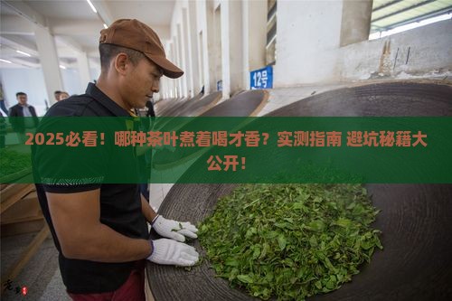 哪种茶叶适合煮