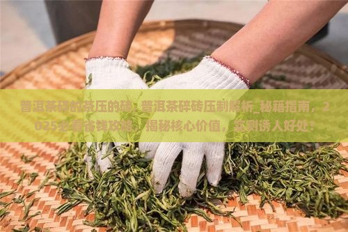 普洱茶碎的茶压的砖 普洱茶碎的茶压的砖