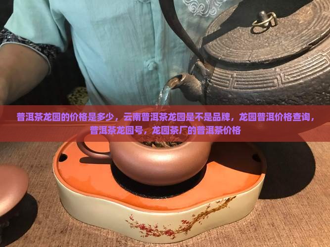 普洱茶龙园的价格