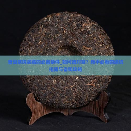 普洱茶购买藏的必备条件