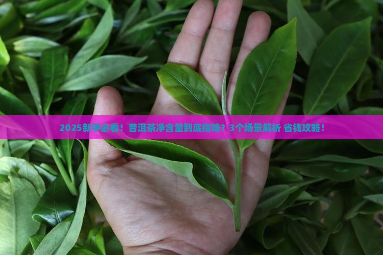 普洱茶含净量什么意思