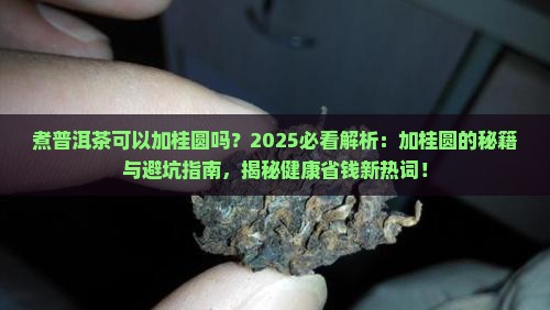 煮普洱茶可以加桂圆吗