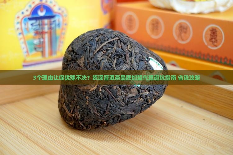 资深普洱茶品牌加盟代理