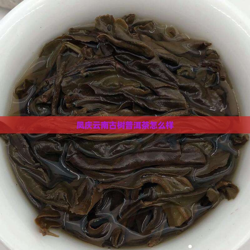 凤庆县古茶林普洱茶怎么样