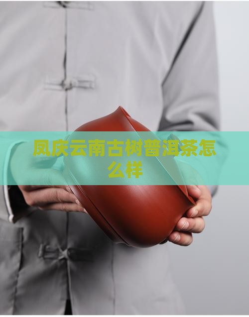 凤庆县古茶林普洱茶怎么样