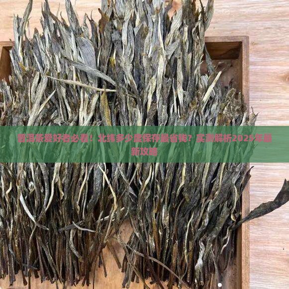 普洱茶在北纬多少度保存