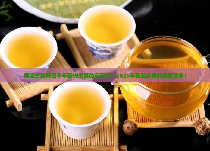 帮崴古茶普洱千年茶树王献祭