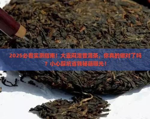 普洱茶适合大壶闷泡吗